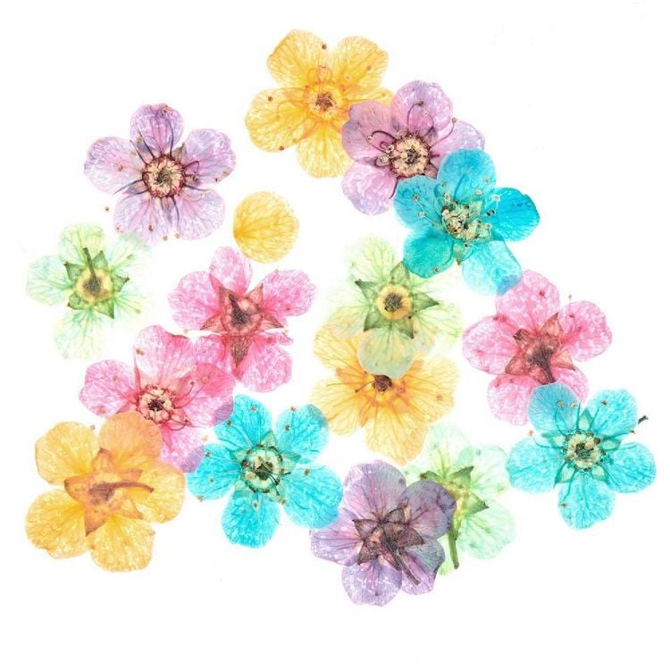 Produktbild: F&uuml;llmaterial Trockenblumen bunt, 15 Stk