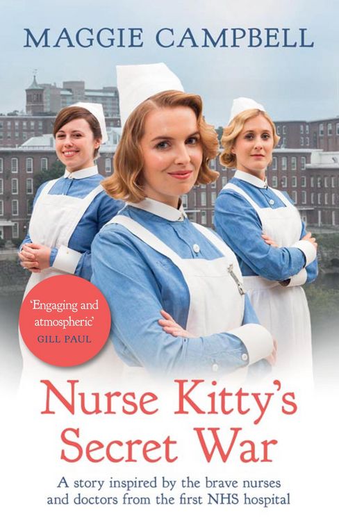 Produktbild: Nurse Kitty's Secret War