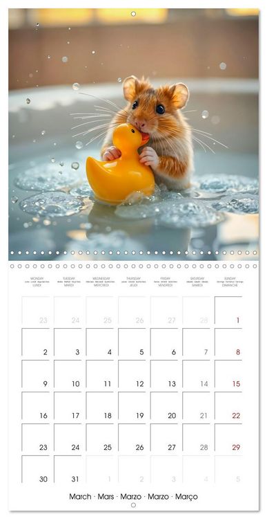 Produktbild: Small paws and great playfulness (Wall Calendar 2026 12 &times; 12 Inch) CALVENDO 12 Month Wall Calendar