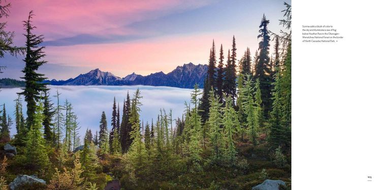 Produktbild: Washington, Evergreen