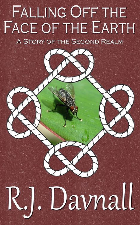 Produktbild: Falling Off the Face of the Earth (The Second Realm, #7)