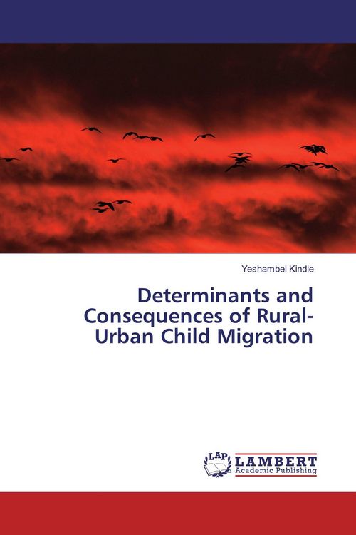 Produktbild: Determinants and Consequences of Rural-Urban Child Migration