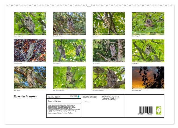 Produktbild: Eulen in Franken (hochwertiger Premium Wandkalender 2026 DIN A2 quer), Kunstdruck in Hochglanz