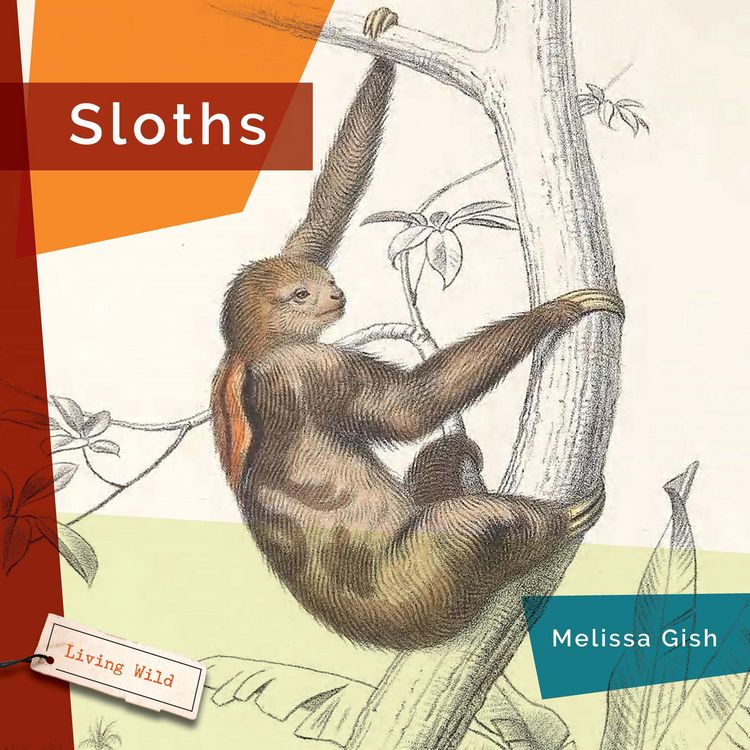 Produktbild: Sloths