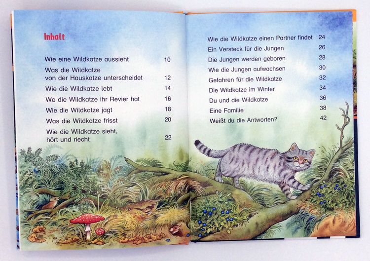 Produktbild: Die Wildkatze