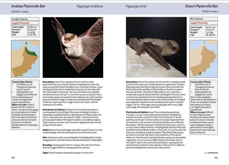 Produktbild: Spalton, A: Field Guide to the Mammals of Oman