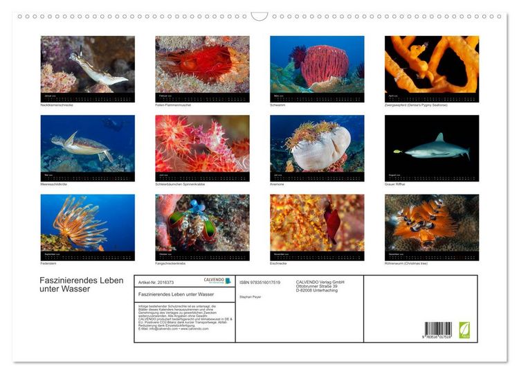 Produktbild: Faszinierendes Leben unter Wasser (Wandkalender 2026 DIN A2 quer), CALVENDO Monatskalender