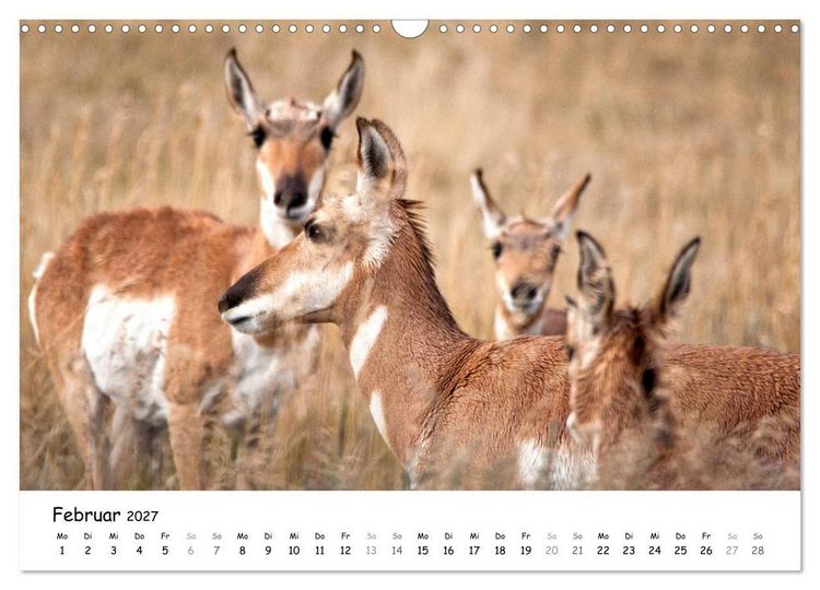 Produktbild: Amerika - Natursch&ouml;nheiten des Westens (Wandkalender 2027 DIN A3 quer), CALVENDO Monatskalender