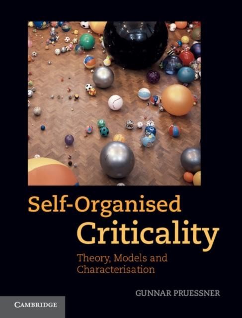 Produktbild: Self-Organised Criticality