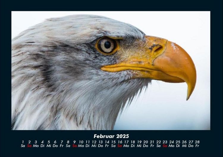 Produktbild: Vogelparadies 2025 Fotokalender DIN A4