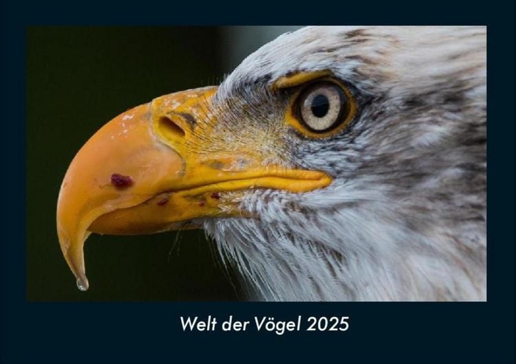 Produktbild: Welt der V&ouml;gel 2025 Fotokalender DIN A4