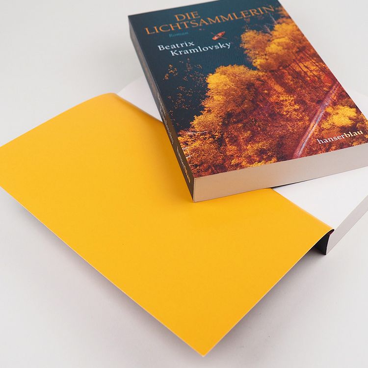 Produktbild: Die Lichtsammlerin