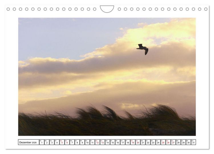 Produktbild: Verliebt in Norddeich (Wandkalender 2026 DIN A4 quer), CALVENDO Monatskalender