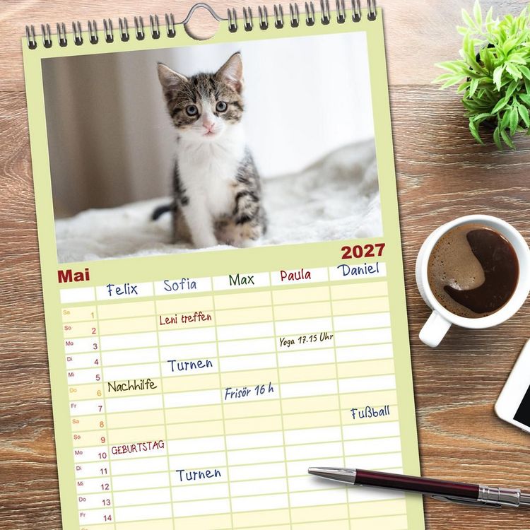 Produktbild: Familienplaner 2027 - Kitten auf Entdeckungsreise mit 5 Spalten (Wandkalender, 21 x 45 cm) CALVENDO