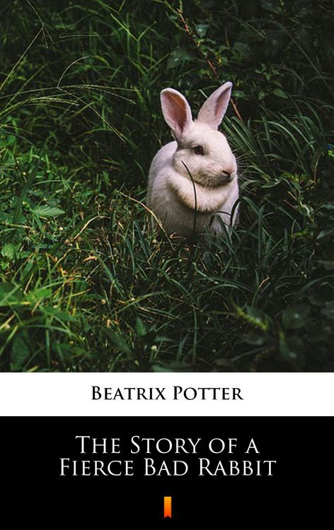 Produktbild: The Story of a Fierce Bad Rabbit