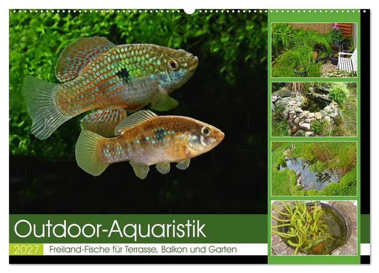 Produktbild: Outdoor-Aquaristik (Wandkalender 2027 DIN A2 quer), CALVENDO Monatskalender
