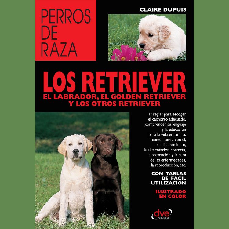 Produktbild: los retriever el labrador, el golden retriever y los otros retriever