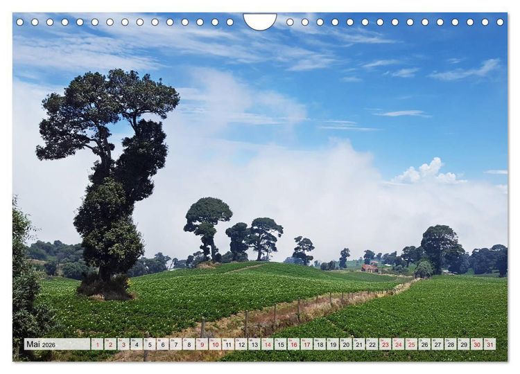 Produktbild: Costa Rica - Lebensfreude pur (Wandkalender 2026 DIN A4 quer), CALVENDO Monatskalender