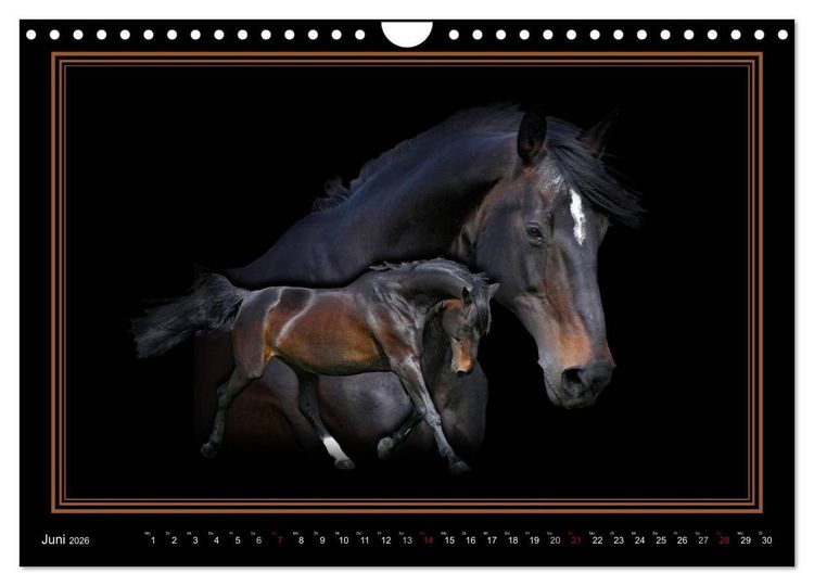 Produktbild: Traumpferde-ART-Collection (Wandkalender 2026 DIN A4 quer), CALVENDO Monatskalender