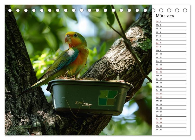 Produktbild: Der Geocaching Found it Kalender (Tischkalender 2026 DIN A5 quer), CALVENDO Monatskalender