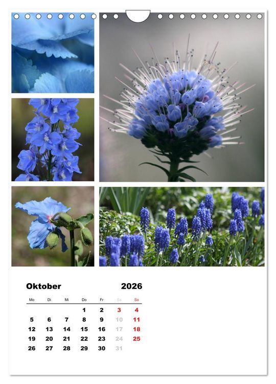 Produktbild: Bl&uuml;ten Collagen (Wandkalender 2026 DIN A4 hoch), CALVENDO Monatskalender