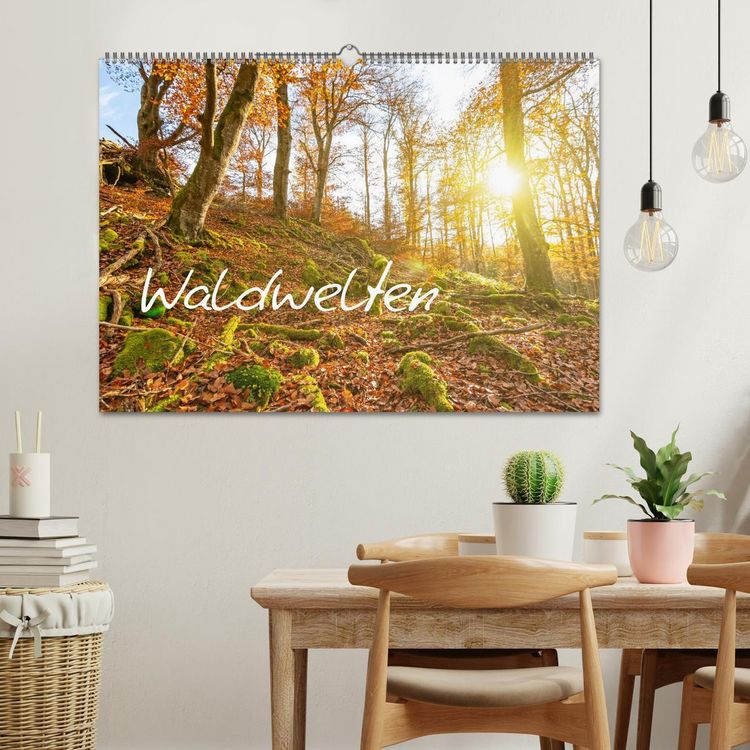 Produktbild: Waldwelten (Wandkalender 2026 DIN A2 quer), CALVENDO Monatskalender