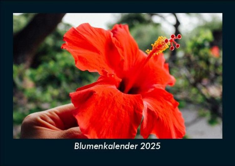 Produktbild: Blumenkalender 2025 Fotokalender DIN A5