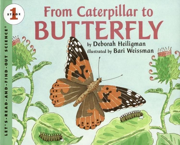 Produktbild: From Caterpillar to Butterfly