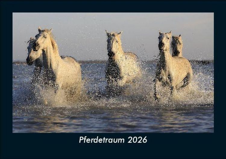 Produktbild: Pferdetraum 2026 Fotokalender DIN A5