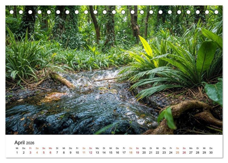 Produktbild: Naturzeit - Ein Jahr im Wandel (Tischkalender 2026 DIN A5 quer), CALVENDO Monatskalender