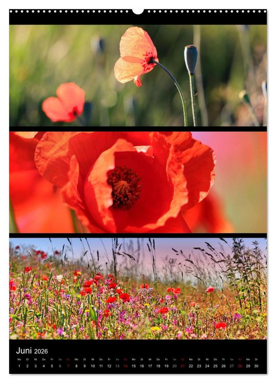 Produktbild: Bezaubernde Farben der Natur (hochwertiger Premium Wandkalender 2026 DIN A2 hoch), Kunstdruck in Hochglanz