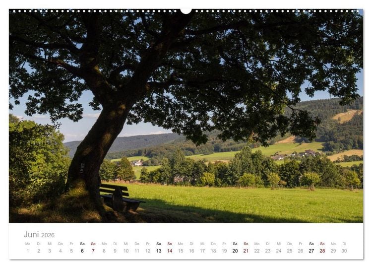 Produktbild: Wundersch&ouml;ne B&auml;ume im Sauerland (hochwertiger Premium Wandkalender 2026 DIN A2 quer), Kunstdruck in Hochglanz