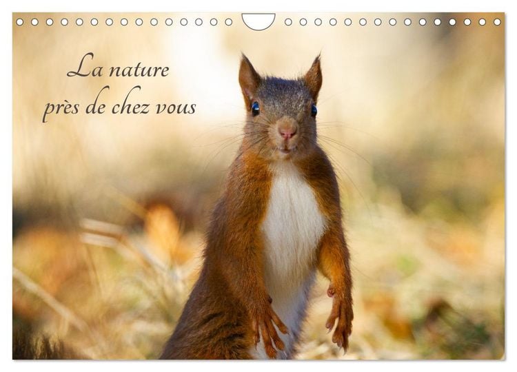 Produktbild: La nature pr&egrave;s de chez vous (Calendrier mural 2026 DIN A4 vertical), CALVENDO calendrier mensuel