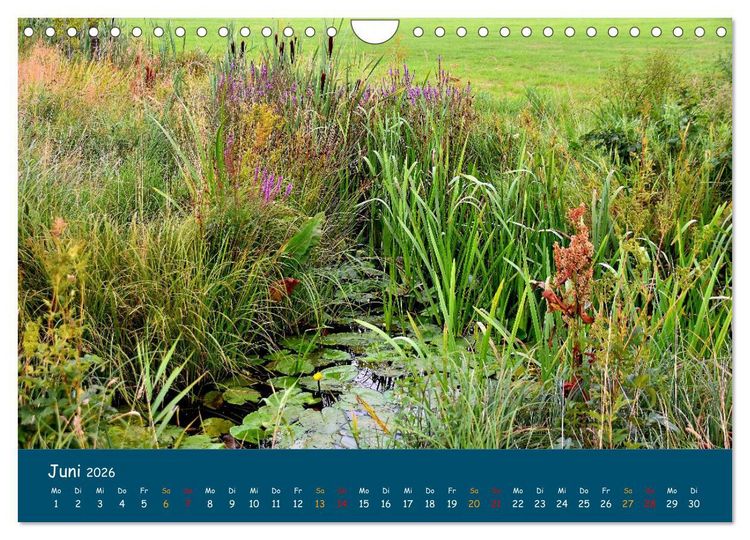 Produktbild: Naturschutzgebiet W&uuml;mme (Wandkalender 2026 DIN A4 quer), CALVENDO Monatskalender