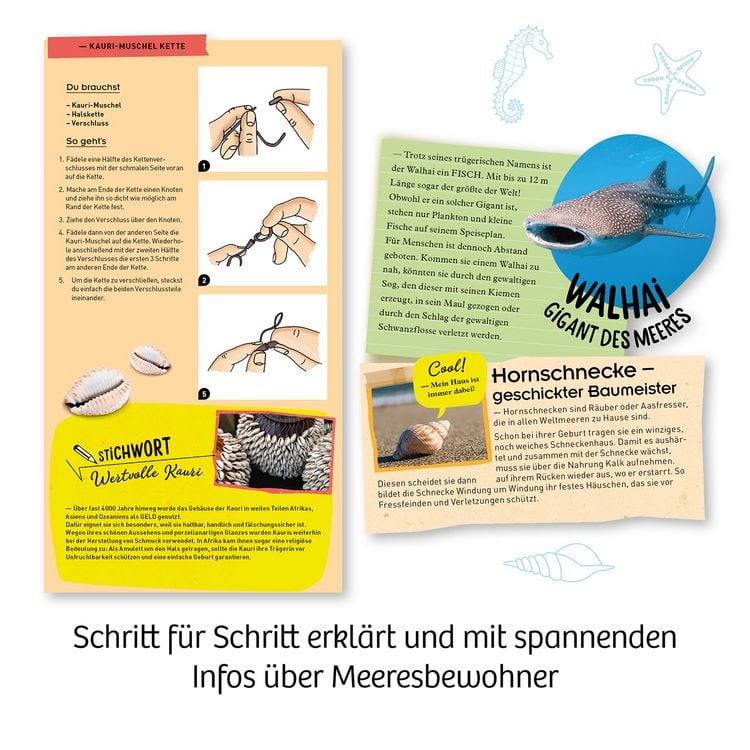Produktbild: Meeres-Abenteuer