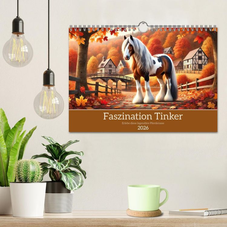 Produktbild: Faszination Tinker (Wandkalender 2026 DIN A4 quer), CALVENDO Monatskalender