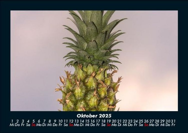 Produktbild: Obstkalender 2025 Fotokalender DIN A5