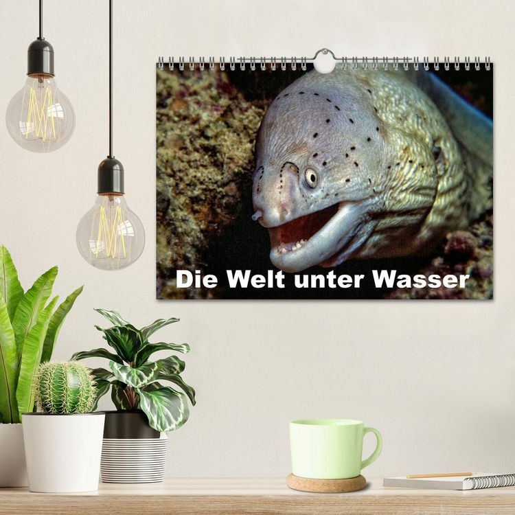 Produktbild: Die Welt unter Wasser (Wandkalender 2026 DIN A4 quer), CALVENDO Monatskalender