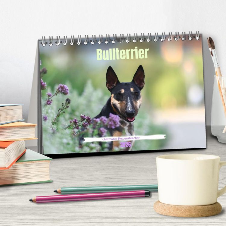 Produktbild: Bullterrier - charmante Herzensbrecher (Tischkalender 2026 DIN A5 quer), CALVENDO Monatskalender