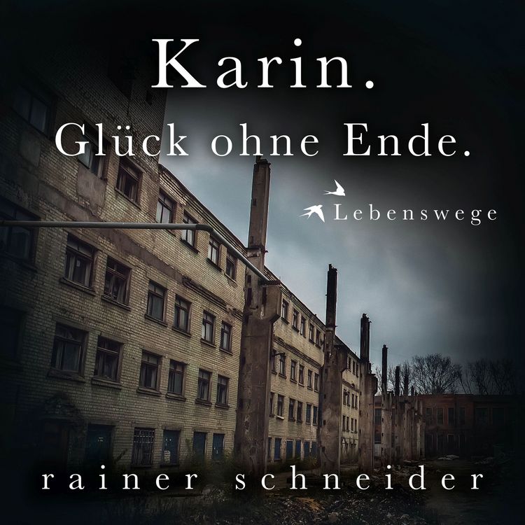 Produktbild: Karin. Gl&uuml;ck ohne Ende.