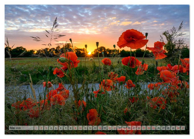 Produktbild: 725 Jahre B&ouml;rnicke (Wandkalender 2026 DIN A4 quer), CALVENDO Monatskalender