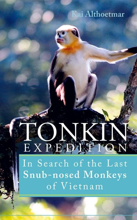 Produktbild: Tonkin Expedition