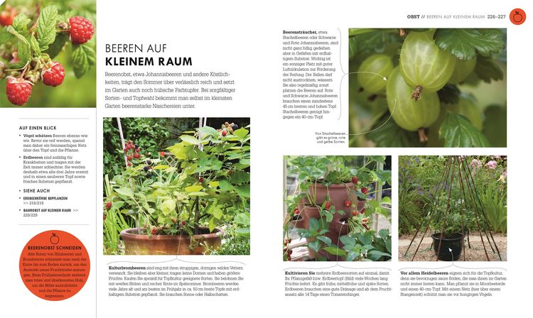 Produktbild: So geht Garten