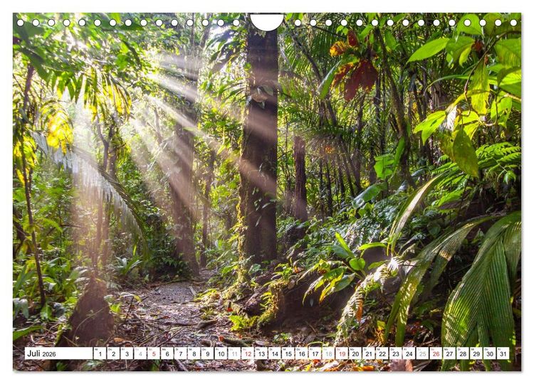 Produktbild: Costa Rica (Wandkalender 2026 DIN A4 quer), CALVENDO Monatskalender
