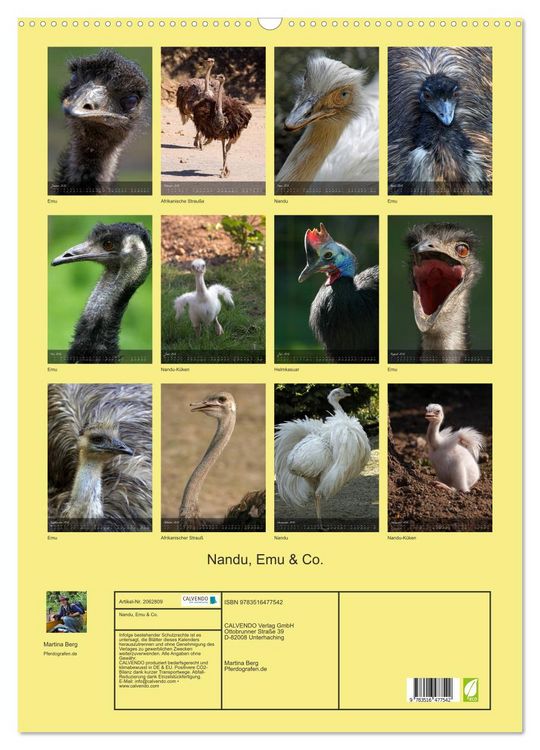 Produktbild: Nandu, Emu & Co. (Wandkalender 2026 DIN A2 hoch), CALVENDO Monatskalender