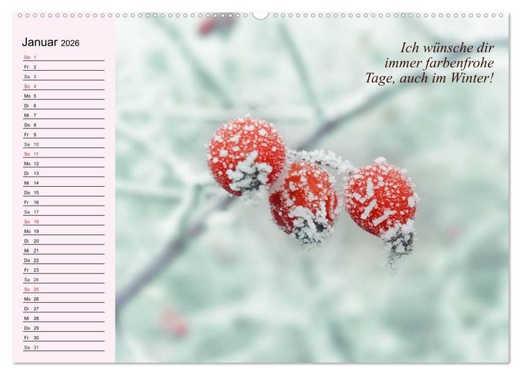 Produktbild: Der Freundinnen-Kalender. Was ich mir f&uuml;r dich w&uuml;nsche! (hochwertiger Premium Wandkalender 2026 DIN A2 quer), Kunstdruck in Hochglanz