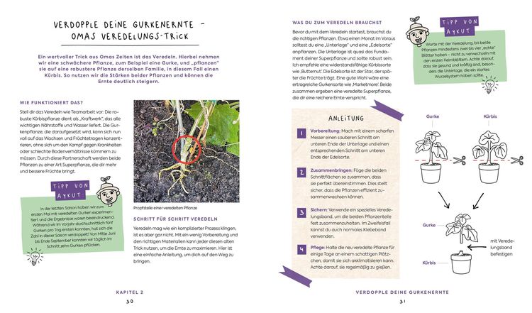 Produktbild: In Null Komma Gr&uuml;n &ndash;&nbsp;Einfach g&auml;rtnern mit Raphy von gruenesparadies
