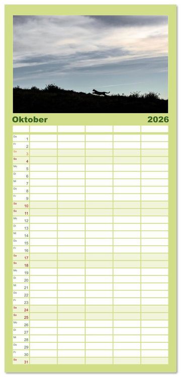 Produktbild: Familienplaner 2026 - Wildlife S&uuml;damerika mit 5 Spalten (Wandkalender, 21 x 45 cm) CALVENDO