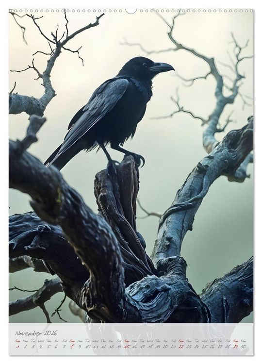 Produktbild: Nocturnal wings - A mystic raven companion for the year (Wall Calendar 2026 DIN A2 portrait), CALVENDO 12 Month Wall Calendar