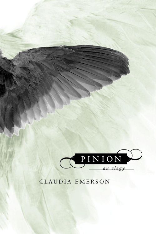 Produktbild: Pinion